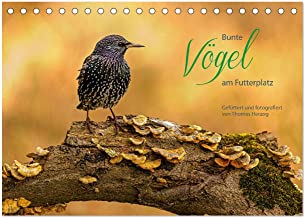Bunte Vögel am Futterplatz (Tischkalender 2023 DIN A5 quer): Singvögel an der Futterstelle (Monatskalender, 14 Seiten )