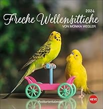 Freche Wellensittiche Postkartenkalender 2024