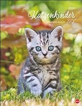 Katzenkinder Posterkalender 2024