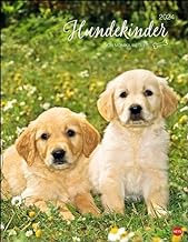 Hundekinder Posterkalender 2024