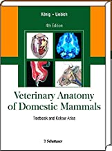 Veterinary Anatomy of Domestic Mammals: Textbook and Colour Atlas