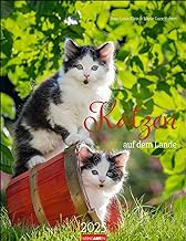 Katzen auf dem Lande Kalender 2025: Süße Kätzchen in ländlicher Idylle: Ein Foto-Kalender zum Dahinschmelzen. Planer mit Platz zum Eintragen. Hochformat 30 x 39 cm