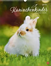 Kaninchenkinder Posterkalender 2019