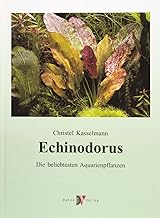 Echinodorus: Die beliebtesten Aquarienpflanzen