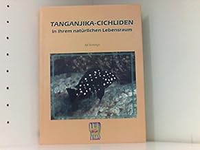 Tanganjika-Cichliden in ihrem natürlichen Lebensraum.
