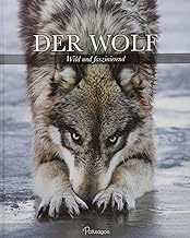 Der Wolf: Wild und faszinierend