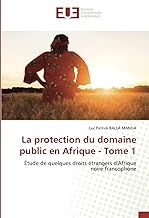 La protection du domaine public en Afrique - Tome 1: Étude de quelques droits étrangers d'Afrique noire francophone