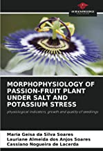 MORPHOPHYSIOLOGY OF PASSION-FRUIT PLANT UNDER SALT AND POTASSIUM STRESS: physiological indicators, growth and quality of seedlings