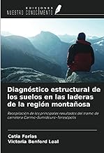Diagnóstico estructural de los suelos en las laderas de la región montañosa: Recopilación de los principales resultados del tramo de carretera Carmo-Sumidouro-Teresópolis