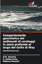 Comportamento geochimico dei sedimenti di carotaggi in mare profondo al largo del Golfo di Way: Golfo del Bengala India