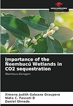 Importance of the Ñeembucú Wetlands in CO2 sequestration: Ñeembucu Ecoregion