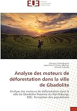 Analyse des moteurs de déforestation dans la ville de Gbadolite: Analyse des moteurs de déforestation dans la ville de Gbadolite Province du NordUbangi, RDC: Perception des populations