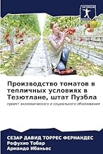 Proizwodstwo tomatow w teplichnyh uslowiqh w Tezütlane, shtat Puäbla: proekt äkonomicheskogo i social'nogo obosnowaniq