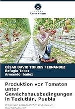 Produktion von Tomaten unter Gewächshausbedingungen in Teziutlán, Puebla: Projekt zur wirtschaftlichen und sozialen Durchführbarkeit