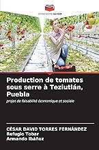 Production de tomates sous serre à Teziutlán, Puebla: projet de faisabilité économique et sociale