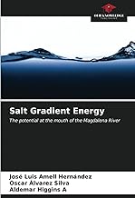 Salt Gradient Energy: The potential at the mouth of the Magdalena River