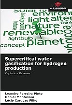 Supercritical water gasification for hydrogen production: Key factors: Processes