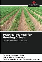 Practical Manual for Growing Chives: Crop management for spring onions