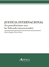 Justicia internacional: Los procedimientos ante los Tribunales internacionales