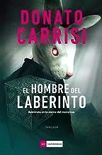 El hombre del laberinto/ Into the Labyrinth