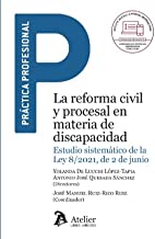 La reforma civil y procesal en materia de discapacidad.