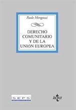 Derecho Comunitario Y De La Union Europea / European Community Law: From the Treaty of Rome to the Treaty of Amsterdam