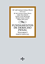 Fundamentos de Derecho Penal: Volumen I. Parte especial