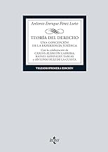 Teoría del Derecho: Una concepción de la experiencia jurídica