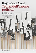 Teoria dell'azione politica