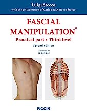 Fascial manipulation. Practical part. third level