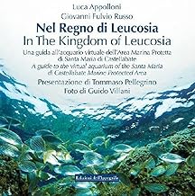 Nel regno di Leucosia. Una guida all’acquario virtuale dell’area marina protetta di Santa Maria di Castellabate. Ediz. italiana e inglese