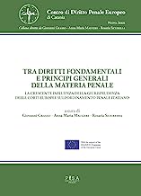 Tra diritti fondamentali e principi generali della materia penale. La crescente influenza della giurisprudenza delle corti europee sull'ordinamento penale italiano