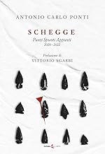 Schegge. Punti spunti appunti 2020-2022