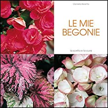 Le mie begonie (I love flowers)