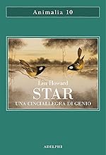 Star. Una cinciallegra di genio