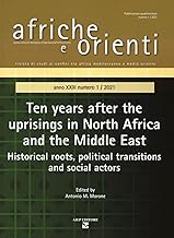 Afriche e Orienti. Ten years after the uprisings in North Africa and Middle East. Historical roots, political transitions and social actors (2021) (Vol. 1)