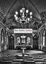 Neo-gothic Cuneo. Topics and itineraries in the province of Cuneo
