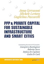 Ppp & private capital for sustainable infrastructure...