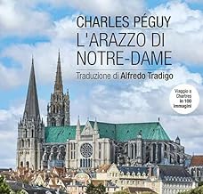 L'arazzo di Notre-Dame. Viaggio a Chartres in 100 immagini. Ediz. illustrata