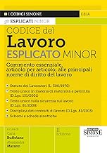 Codice del Lavoro esplicato. Commento essenziale, articolo per articolo, alle principali norme di diritto del lavoro. Minor