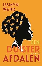 Een duister afdalen: roman