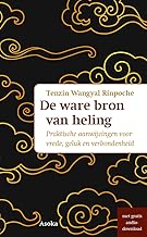 De ware bron van heling: Praktische aanwijzingen voor innerlijk vrede, geluk en verbondenheid