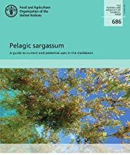Pelagic sargassum: A guide to current and potential uses in the Caribbean