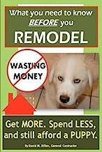 [(What You Need to Know Before You Remodel)] [By (author) MR David M Dillon] published on (September, 2011)