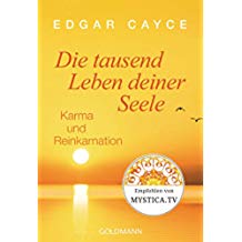 Die tausend Leben deiner Seele: Karma und Reinkarnation (German Edition)